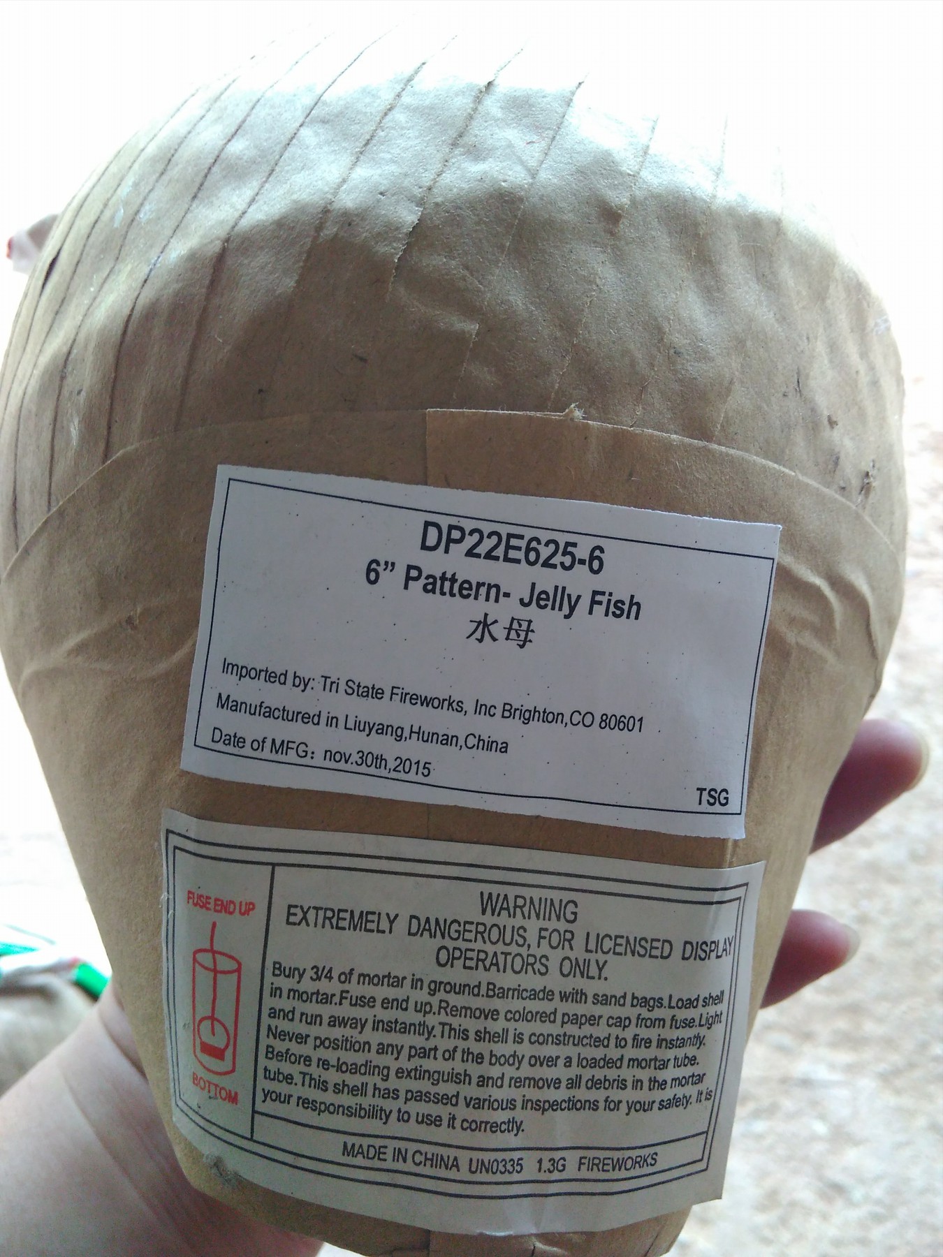 Pattern- Jelly Fish